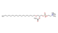 C18-PAF；CAS号：74389-69-8；血小板活化因子(C18)