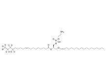C18(plasm)-18:1 PE-d9；CAS号：2315262-04-3
