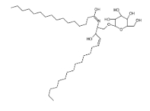 D-半乳糖基-β-1,1'N-棕榈酰-D-赤型-鞘氨醇,  CAS号：34324-89-5