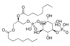 PI(4)P, DI C8，CAS号：214069-07-5，4-单磷酸磷脂酰肌醇